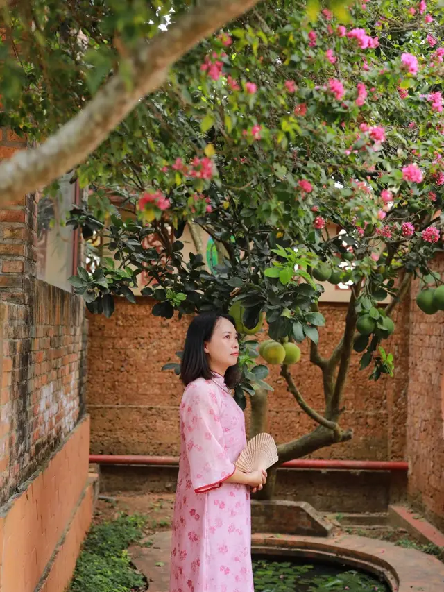 HLV Thúy Hoàng